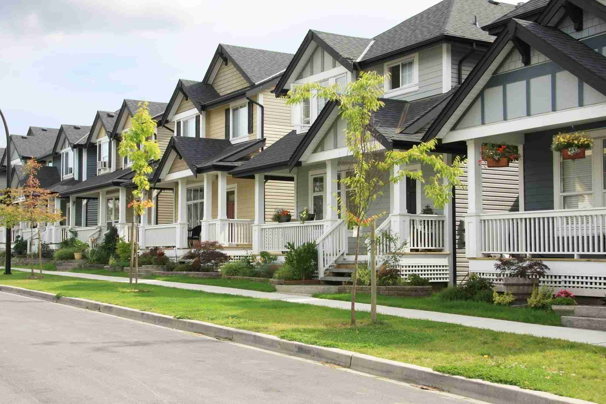 Protect Your Home and Health with a Professional Mold Inspection
