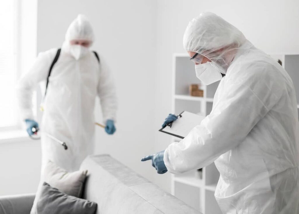 Mold inspection in Baltimore