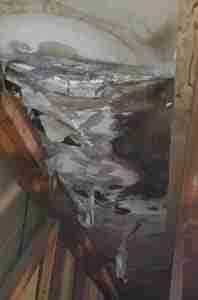 https://dynamichomeinspections.digitalguider.dev/wp-content/uploads/2026/07/Mold-Pic-Cropped-198x300-1.jpg