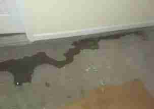 https://dynamichomeinspections.digitalguider.dev/wp-content/uploads/2026/07/Water-Leaking.jpg